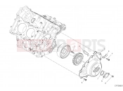DUCATI 2021 Panigale V4 S GENERATOR COVER [MOD:PANV4 S]
