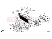 HONDA X-ADV 750 (ADV750H) 2017 F-41 RADIATOR
