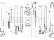 DUCATI 2021 Multistrada V4 S Front Fork