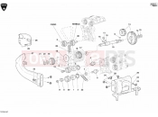 DUCATI Superbike 999 RS TIMING BELT » UNCLASSIFIED