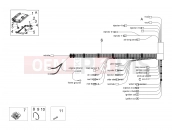 APRILIA Tuono V4 Factory 1100 Superpole (APAC) Electrical system III