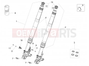 APRILIA Tuono V4 Factory 1100 Superpole (USA) Front fork Ohlins