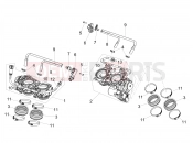 APRILIA Tuono V4 Factory 1100 Superpole (USA) Throttle body