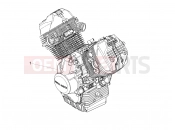 MOTOGUZZI V7 III Racer 10th Anniversary Engine-Completing part-Lever