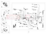 MOTOGUZZI V7 III Rough 750 Front electrical system
