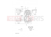 YAMAHA YFM 700 Grizzly YFM700FWAD YFM70GPXK GRIZZLY 700 EPS (B4FA) 2019 EMBLEM & LABEL 1