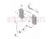 YAMAHA YZ 250 F YZ250F (B7BL) 2022 RADIATOR & HOSE