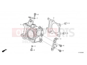 HONDA PCX125 (WW125AM) 2021 E-6 CYLINDER
