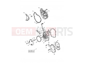Triumph 2004 DAYTONA 600 & 650 Engine Covers - Daytona 600