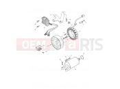 Triumph 2006 DAYTONA 600 & 650 Starter & Alternator
