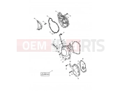 Triumph 2006 DAYTONA 600 & 650 Engine Covers - Daytona 650