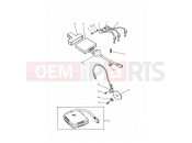 Triumph 1993 TRIDENT Ignition System