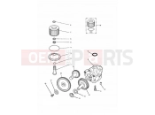 Triumph 1998 TRIDENT Lubrication System
