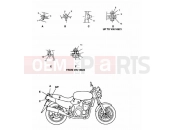Triumph 1997 SPEED TRIPLE (CARBS) Bodywork Fixings
