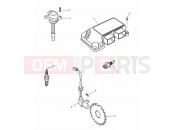 Triumph 1998 SPEED TRIPLE 885cc\955cc (EFI) > 141871 Engine Management System