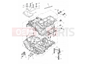 Triumph 1998 SPEED TRIPLE 885cc\955cc (EFI) > 141871 Crankcase