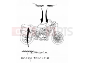 Triumph 1999 SPEED TRIPLE 885cc\955cc (EFI) > 141871 Bodywork Decals 955cc Engine