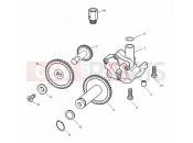 Triumph 2000 SPEED TRIPLE 885cc\955cc (EFI) > 141871 Oil Pump Drive