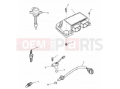 Triumph 2002 SPEED TRIPLE 141872 > 210444 Engine Management System