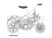 Triumph 2006 SPEED TRIPLE 210445 > 461331 Bodywork Decals 333179