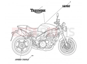 TRIUMPH SPEED TRIPLE 210445 > 461331 Bodywork Decals 333178