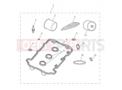 Triumph 2009 SPEED TRIPLE 210445 > 461331 Service Kits with Fuel Filter