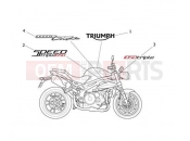 Triumph 2015 SPEED TRIPLE 461332 > 735437 Decals 657553
