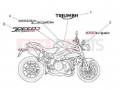 Triumph 2013 SPEED TRIPLE R > 735336 Decals 657553