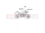 TRIUMPH Speed Triple S Decals & Badges