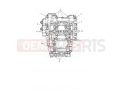 TRIUMPH TRIDENT 660 Crankcase Bolts
