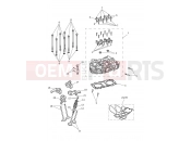 Triumph 2016 THRUXTON Cylinder Head & Valves