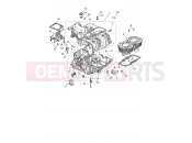 Triumph 2021 Thruxton RS Crankcase & Fittings