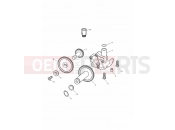 Triumph 2000 SPRINT ST > 139276 Oil Pump & Drive