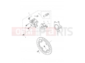 Triumph 2011 SPRINT GT Rear Brake Caliper & Disc