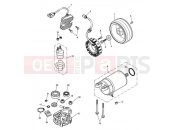Triumph 2001 BONNEVILLE & BONNEVILLE T100 CARBS Starter & Alternator