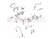 Triumph 2009 BONNEVILLE T100 EFI Ignition System