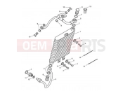 TRIUMPH BONNEVILLE T100 EFI Oil Cooler