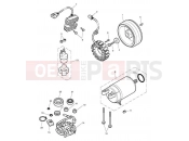 TRIUMPH BONNEVILLE T100 EFI Starter & Alternator