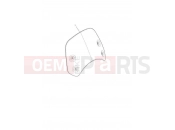 TRIUMPH BONNEVILLE T100 Screen, Short, Painted