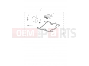 Triumph 2021 STREET SCRAMBLER Engine Service Kit