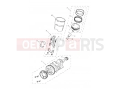 Triumph 2013 TROPHY 1215 SE Crankshaft, Connecting Rods...
