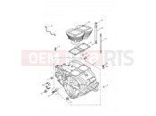 TRIUMPH SPEEDMASTER CARBS Crankcase & Fittings 221606