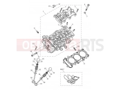 Triumph 2020 TIGER 900 Rally Cylinder Head & Valves