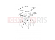 Triumph 2021 TIGER 1200 XCX Sump & Fittings