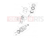 Triumph 2021 TIGER 1200 XCX Crankshaft, Connecting Rods...