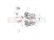 Triumph 2021 TIGER 1200 XR Crankcase & Fittings