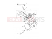 Triumph 2020 TIGER 1200 XRX Throttles, Injectors...