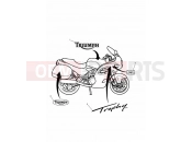 Triumph 1999 TROPHY 29156 > Bodywork - Decals