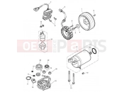 Triumph 2008 SCRAMBLER EFI Starter & Alternator