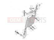 Triumph 2009 SCRAMBLER EFI Oil Cooler